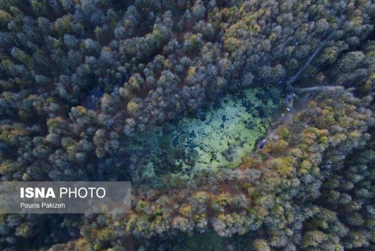 پاییز در مرداب دریوک مازندران