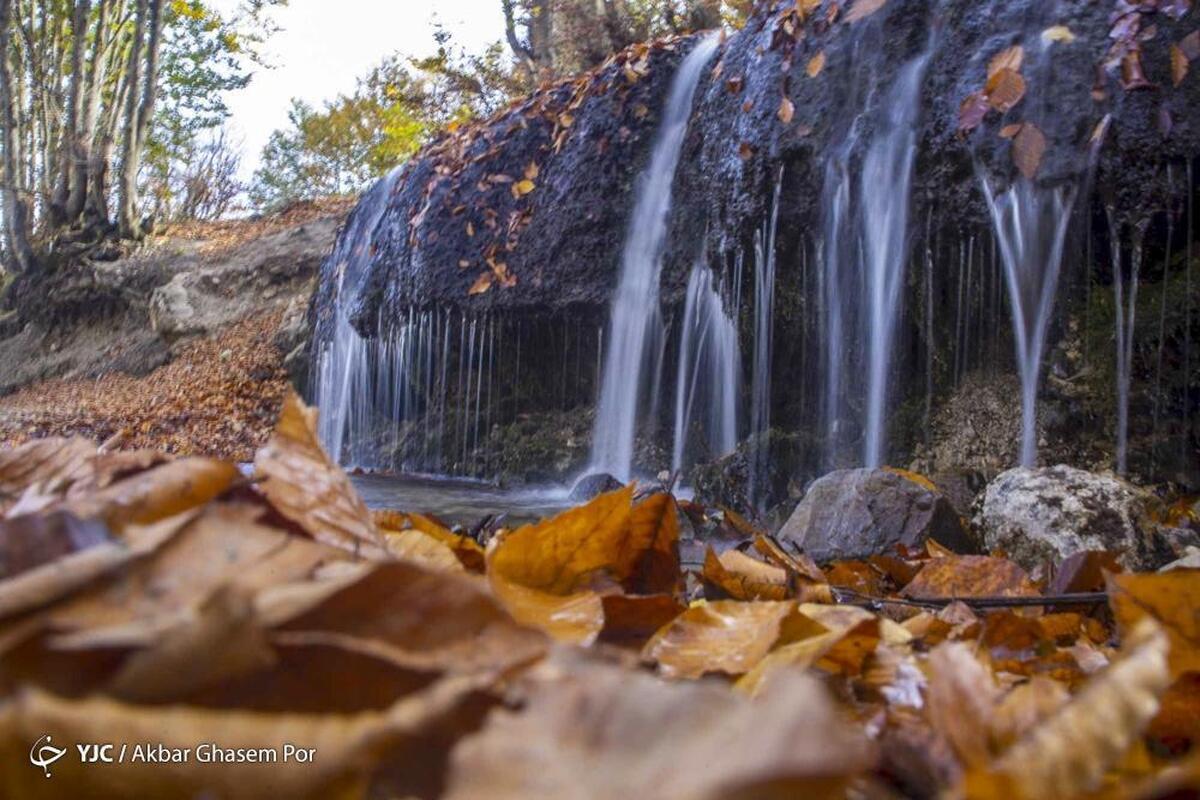 پاییز هزار رنگ مازندران