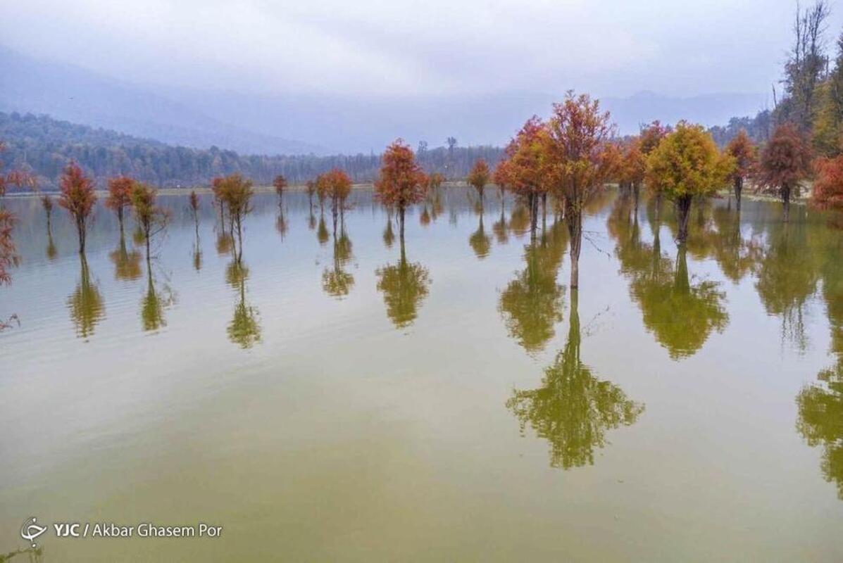 پاییز هزار رنگ مازندران