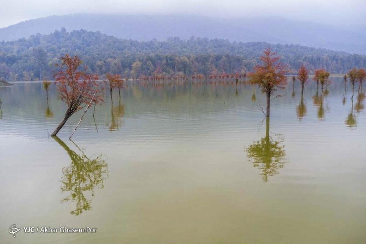 پاییز هزار رنگ مازندران