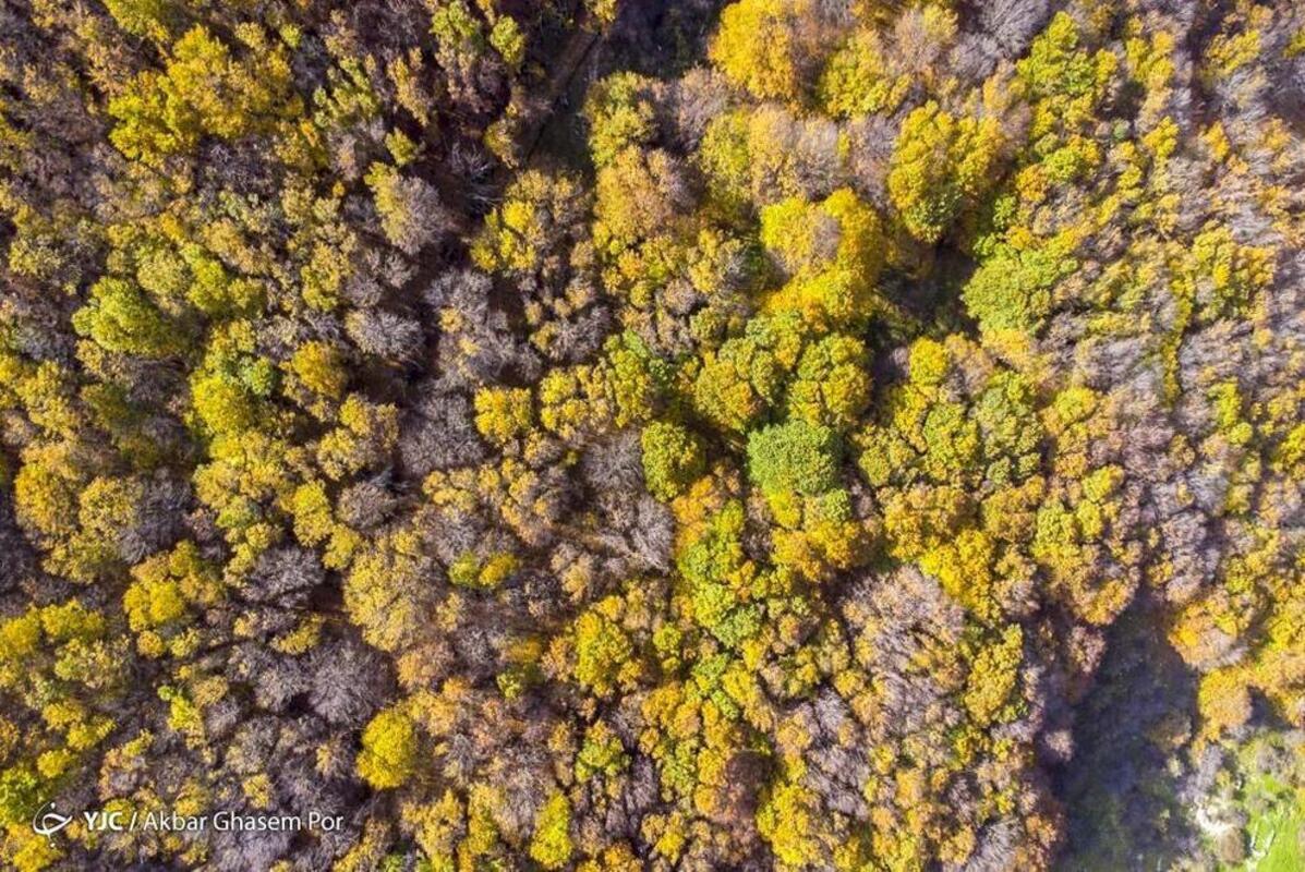 پاییز هزار رنگ مازندران