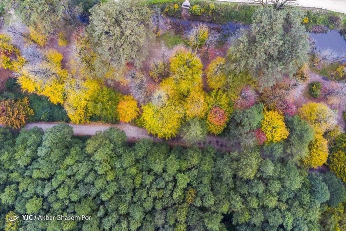 پاییز هزار رنگ مازندران