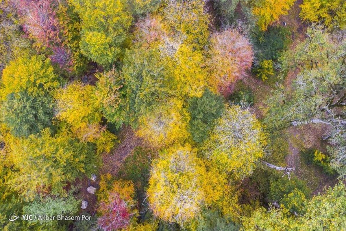 پاییز هزار رنگ مازندران