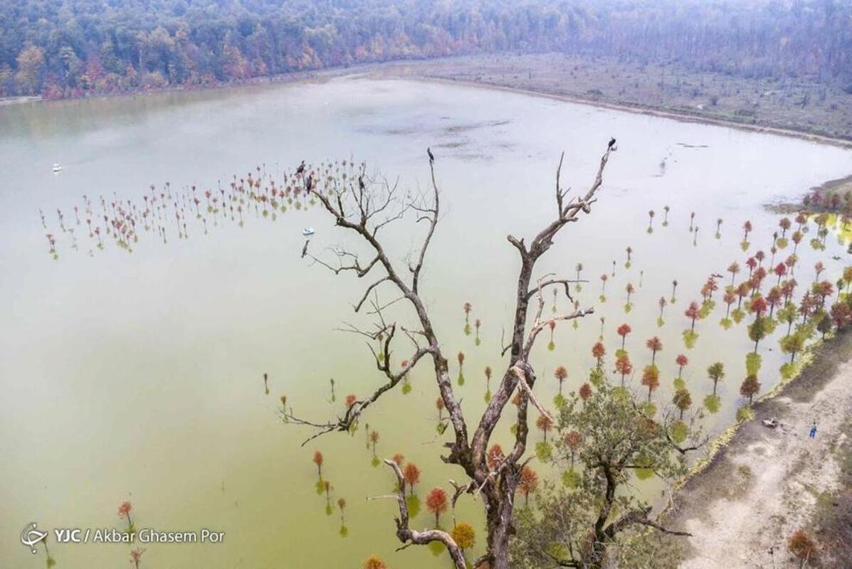 پاییز هزار رنگ مازندران