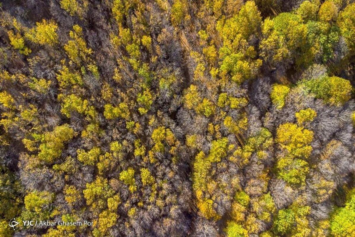 پاییز هزار رنگ مازندران