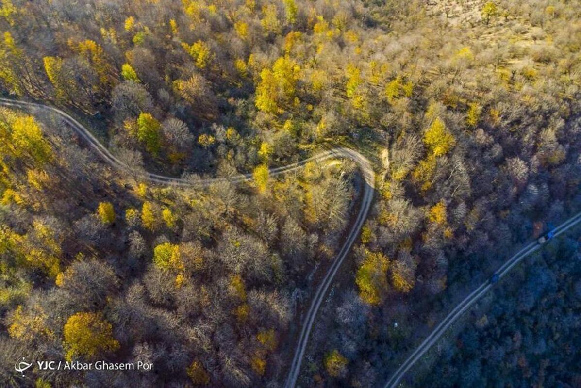 پاییز هزار رنگ مازندران