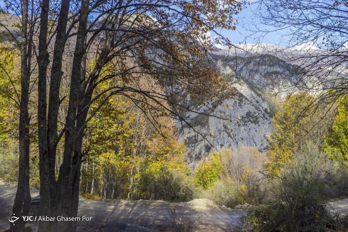 پاییز هزار رنگ مازندران