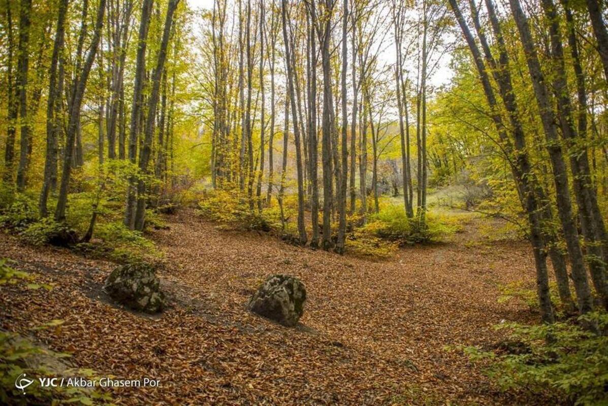 پاییز هزار رنگ مازندران
