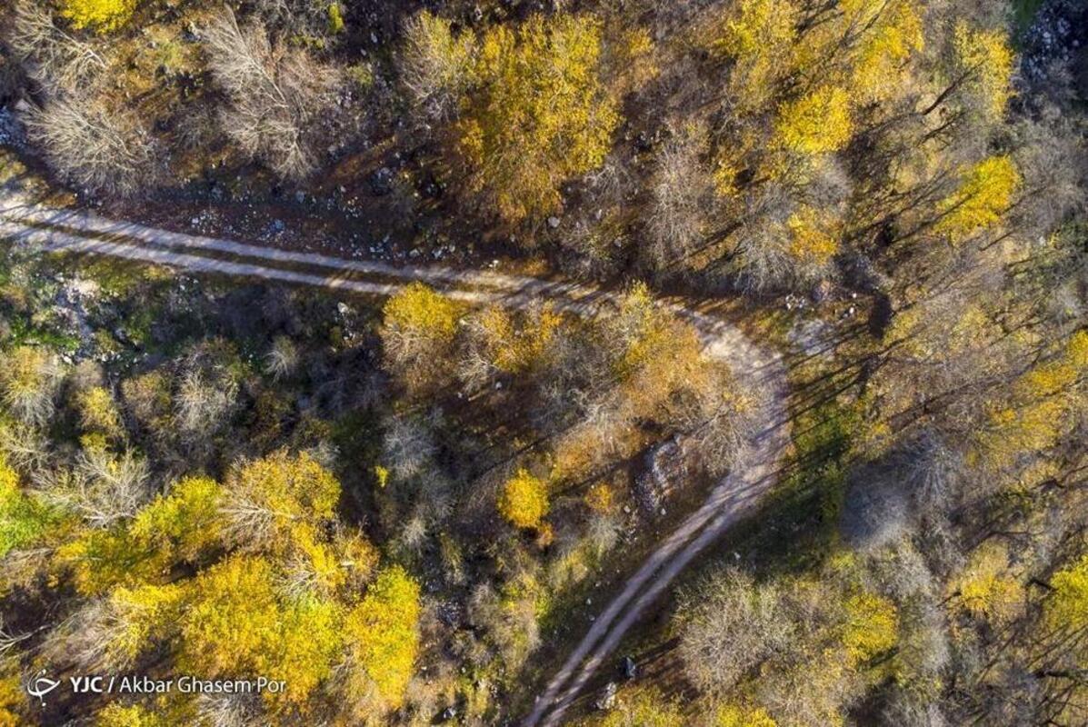 پاییز هزار رنگ مازندران