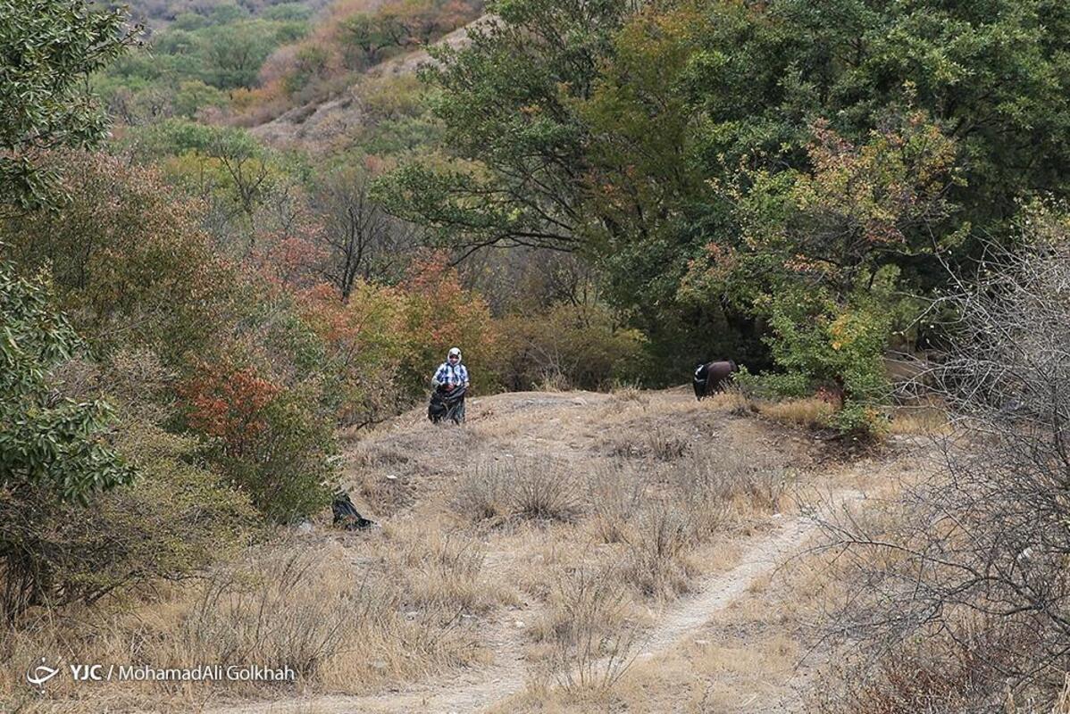 پاکسازی پارک ملی گلستان از زباله توسط بانوان حافظ محیط زیست