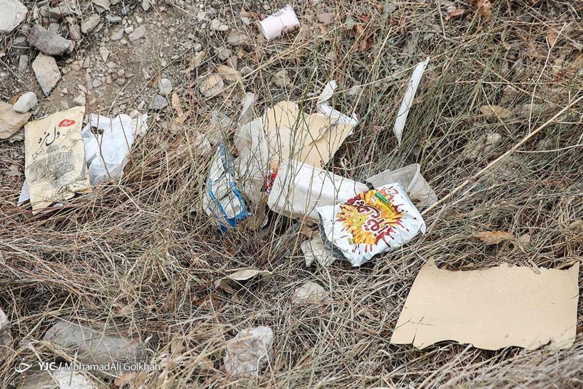 پاکسازی پارک ملی گلستان از زباله توسط بانوان حافظ محیط زیست