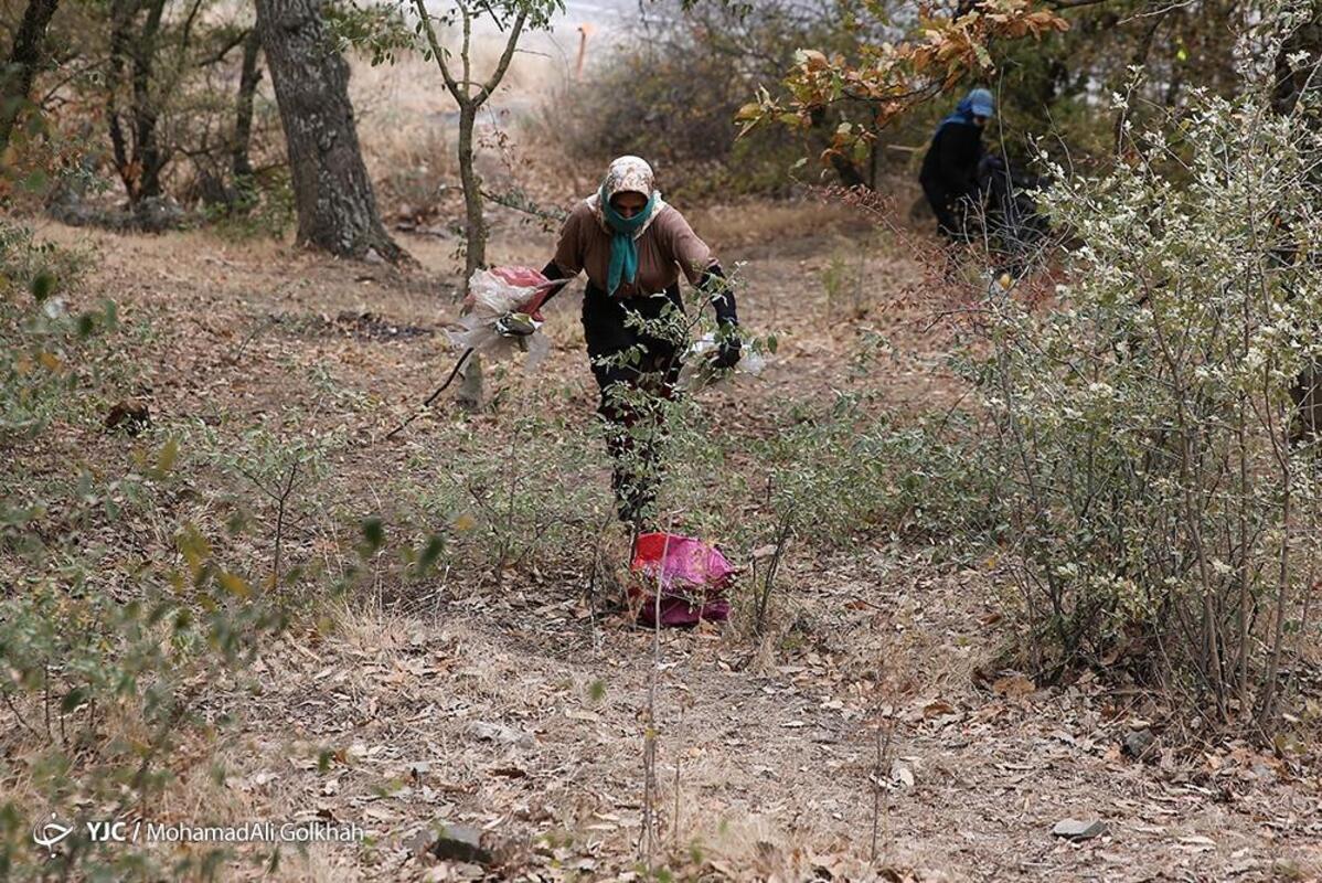 پاکسازی پارک ملی گلستان از زباله توسط بانوان حافظ محیط زیست