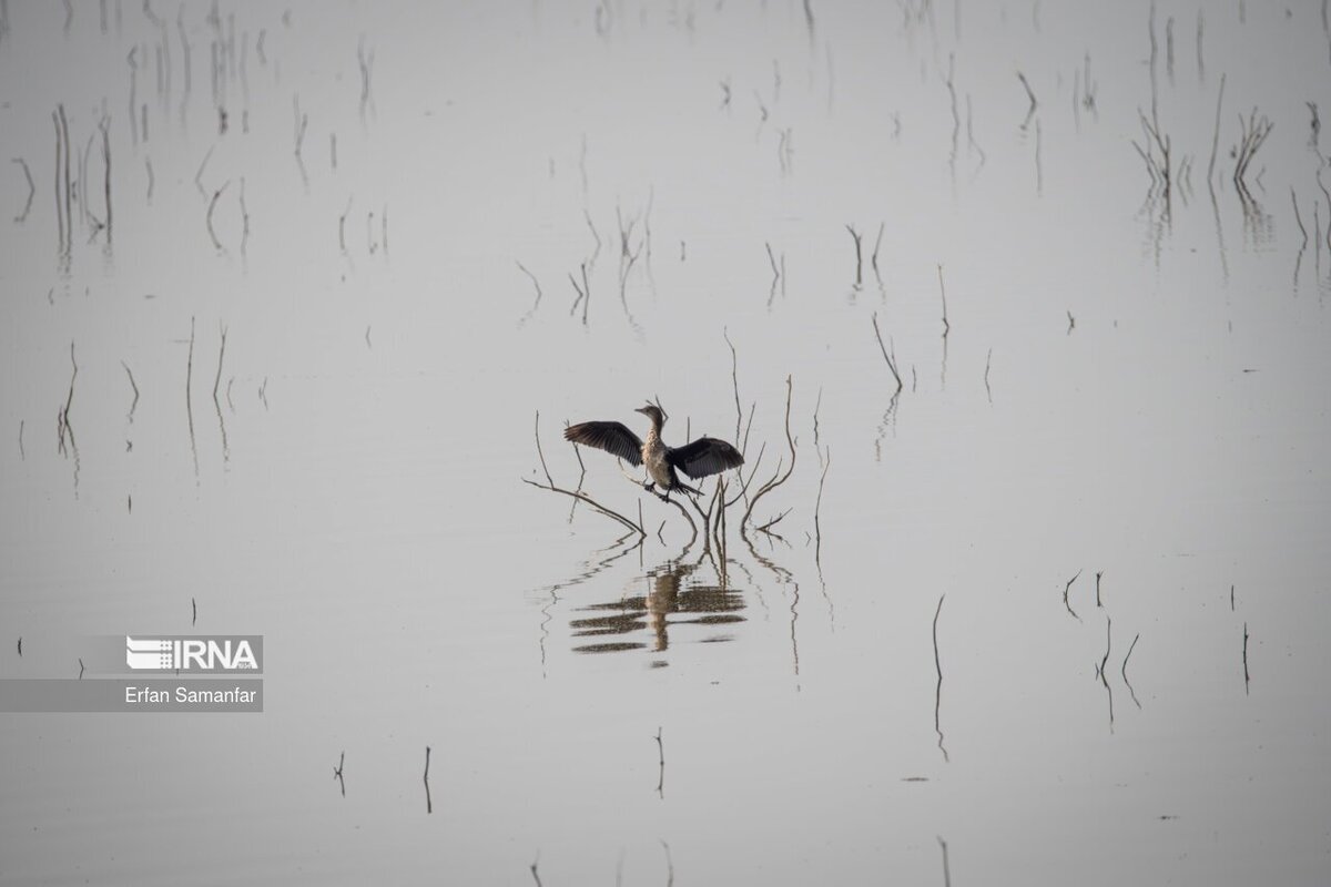 کلان‌تالاب «هورالعظیم»