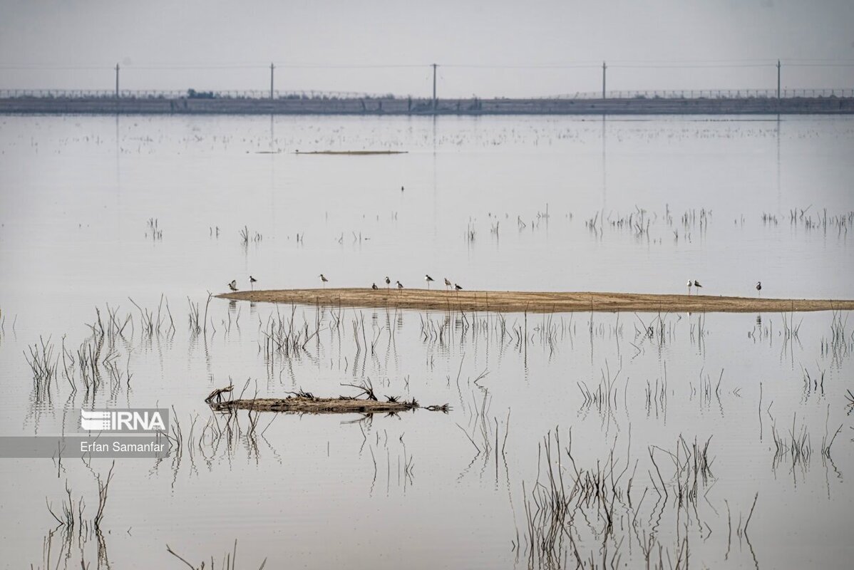 کلان‌تالاب «هورالعظیم»