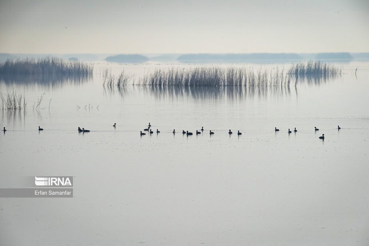 کلان‌تالاب «هورالعظیم»