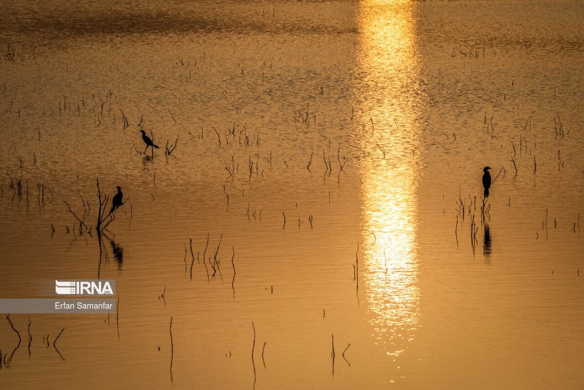 کلان‌تالاب «هورالعظیم»