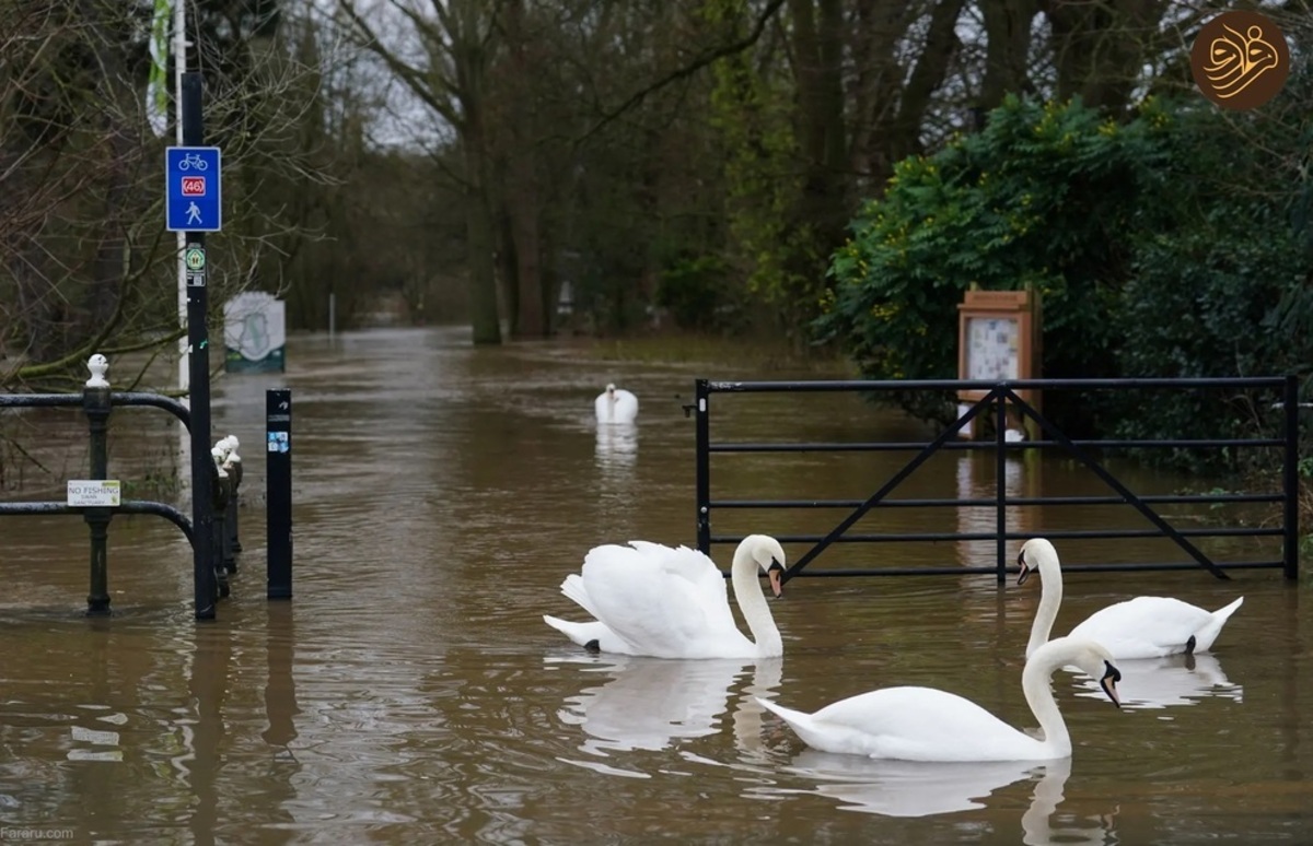 سیل در سراسر انگلیس