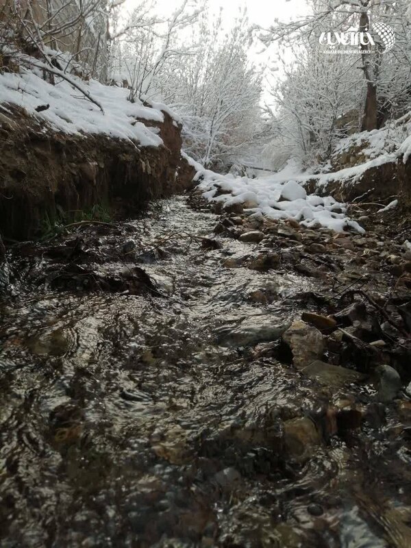 بارش برف در روستاهای اطراف شهرستان فیروزکوه