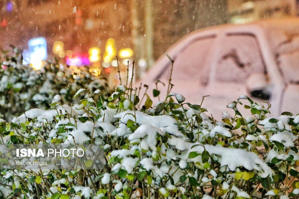 اردبیل سفید پوش شد