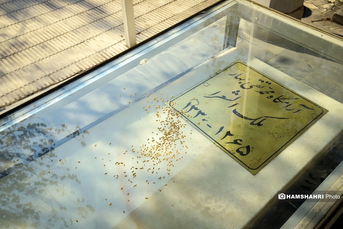  کنج عزلت مشاهیر در گورستان ظهیرالدوله