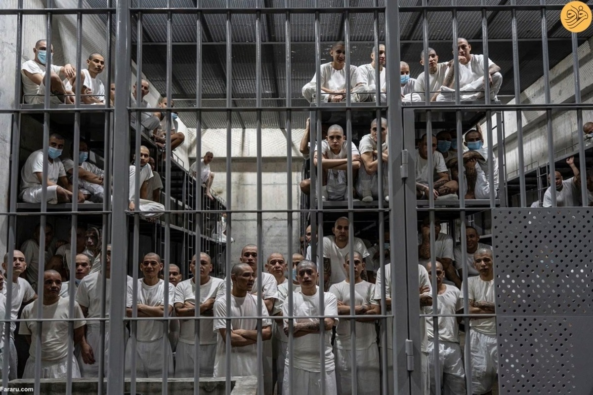 زندان آلکاتراز نایب بوکله؛ زندانی ابدی که فرار از آن غیرممکن است