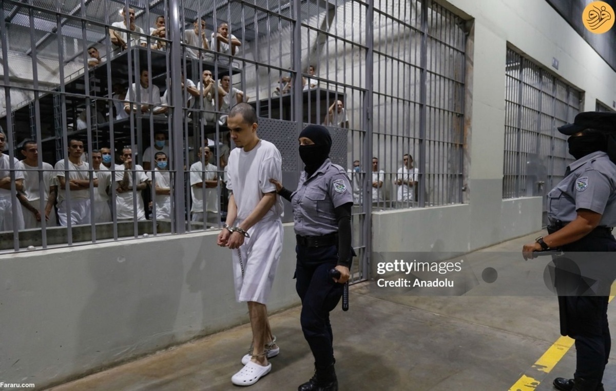 زندان آلکاتراز نایب بوکله؛ زندانی ابدی که فرار از آن غیرممکن است
