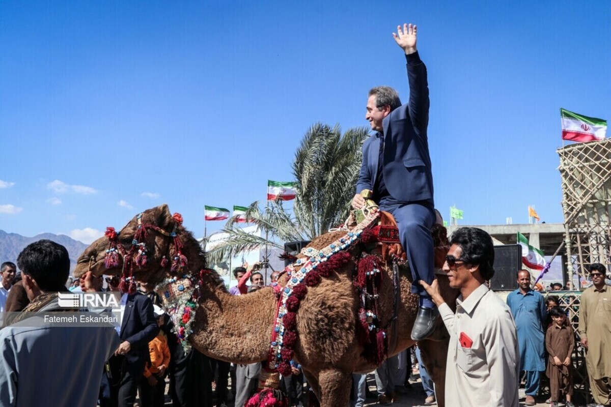 جشنواره شتر، طلای بیابان در کرمان