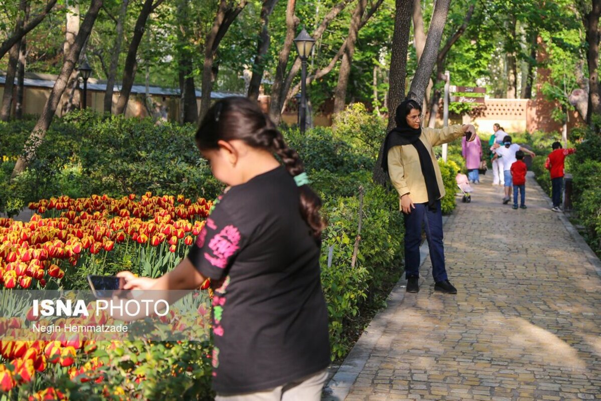 فصل لاله‌ها در باغ ایرانی