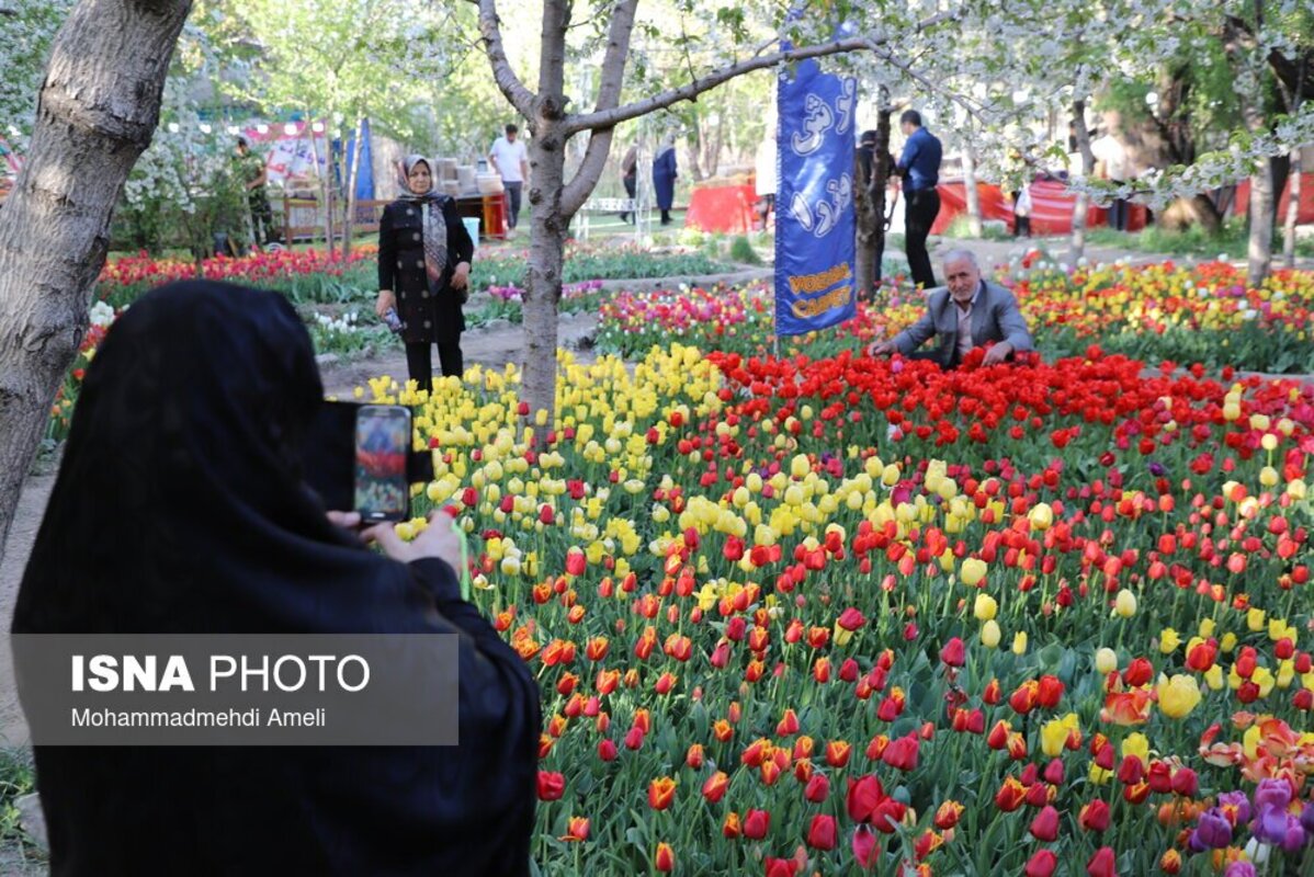 جشنواره گل های لاله آسارا - استان البرز