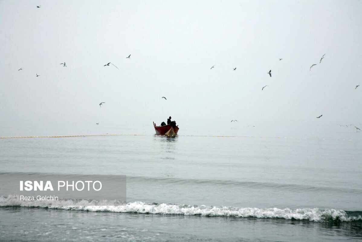 پرندگان مهاجر دریای خزر