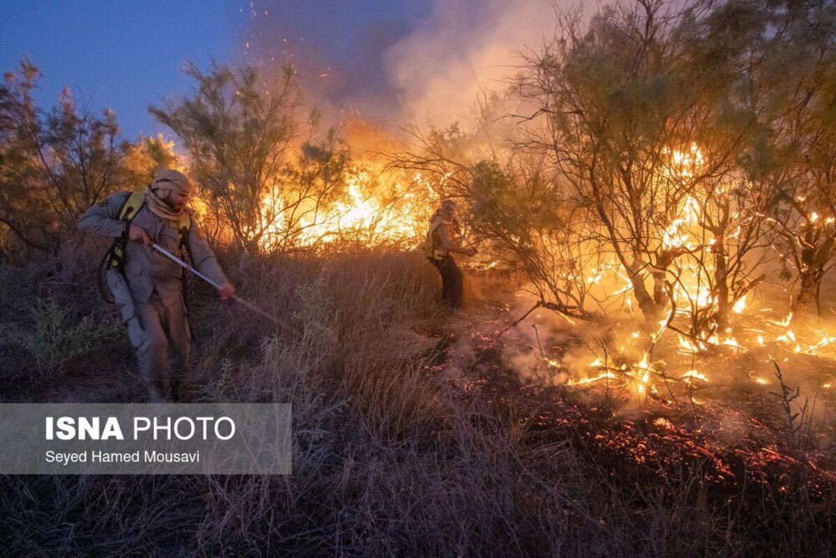  آتش سوزی در پارک ملی کرخه