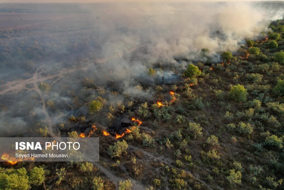  آتش سوزی در پارک ملی کرخه