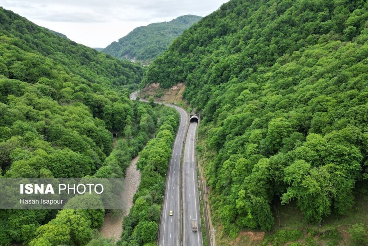 جاده جنگلی سوادکوه در استان مازندران 