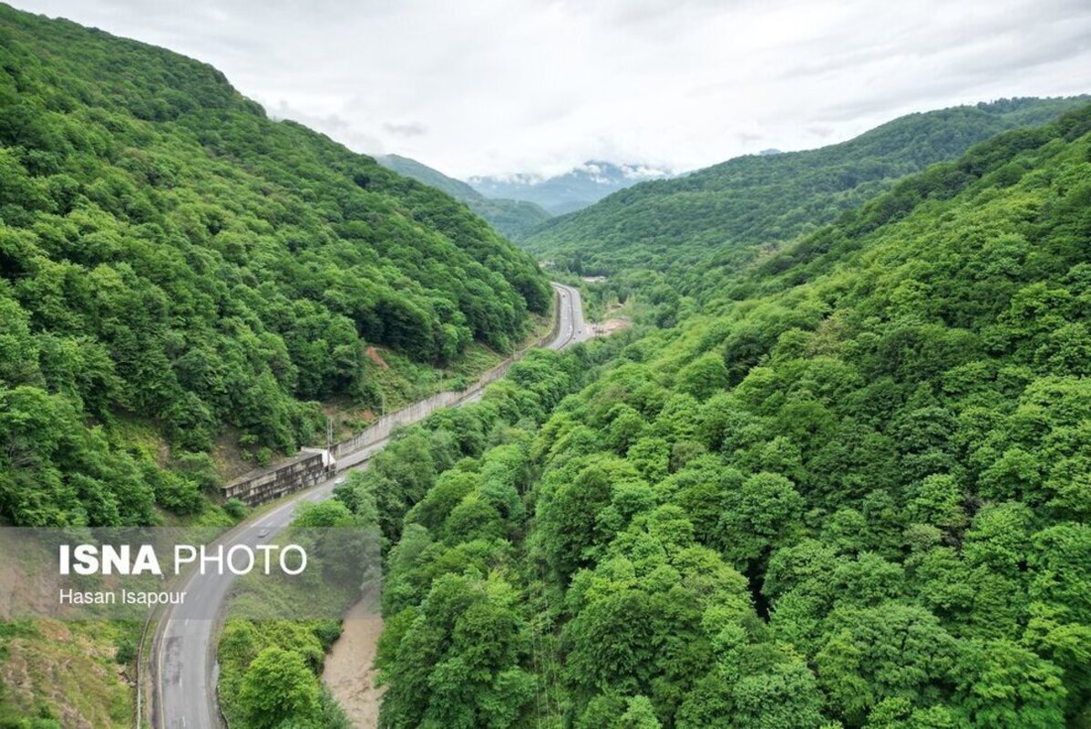 جاده جنگلی سوادکوه در استان مازندران 