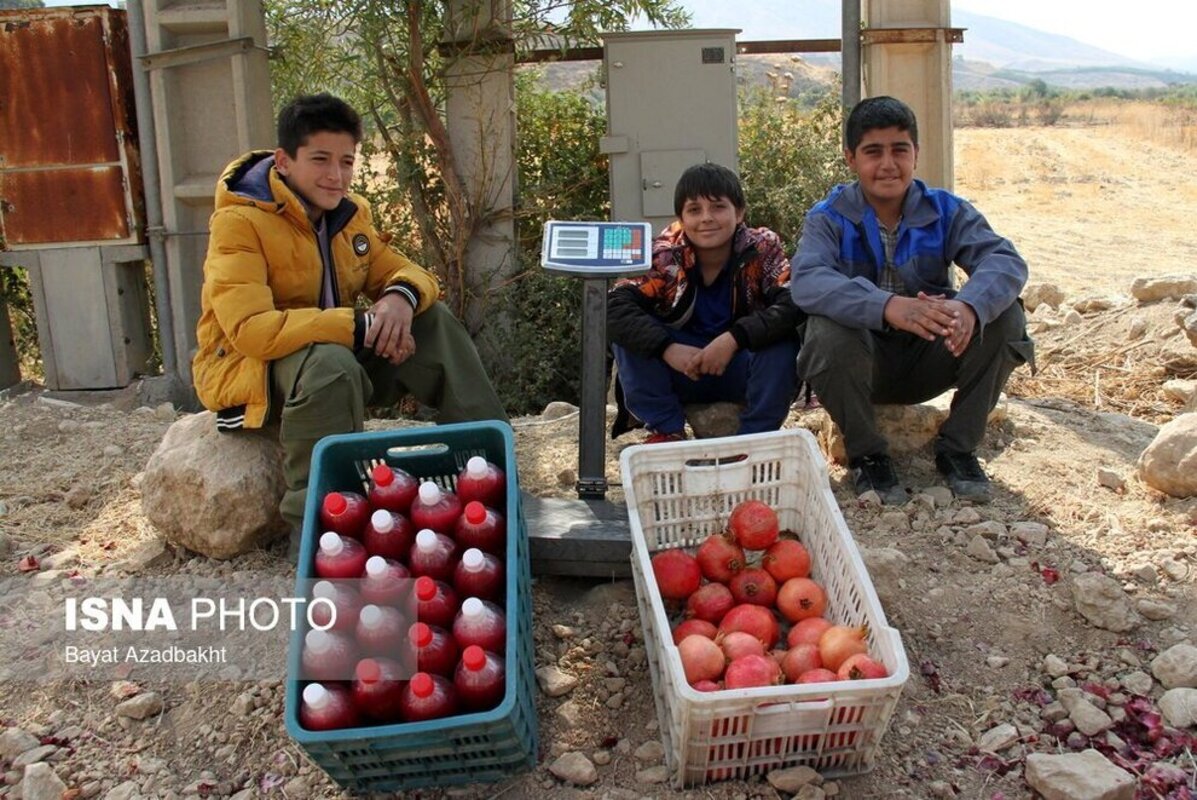 انارستان تنگ سیاب در کوهدشت لرستان