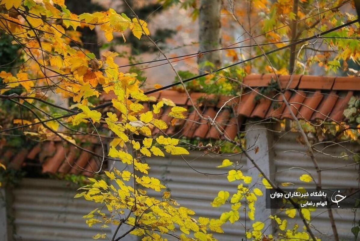 طبیعت پاییزی پارک جمشیدیه تهران