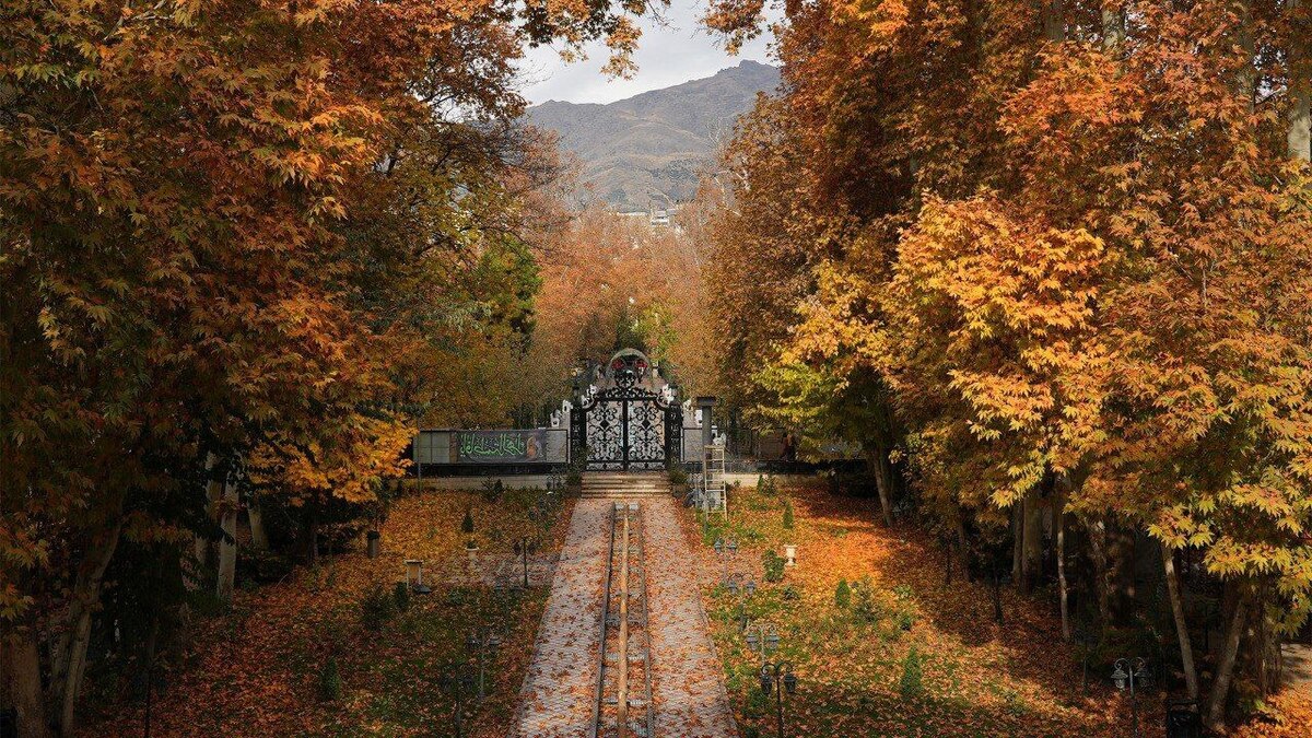 پاییز در موزه سینمای ایران