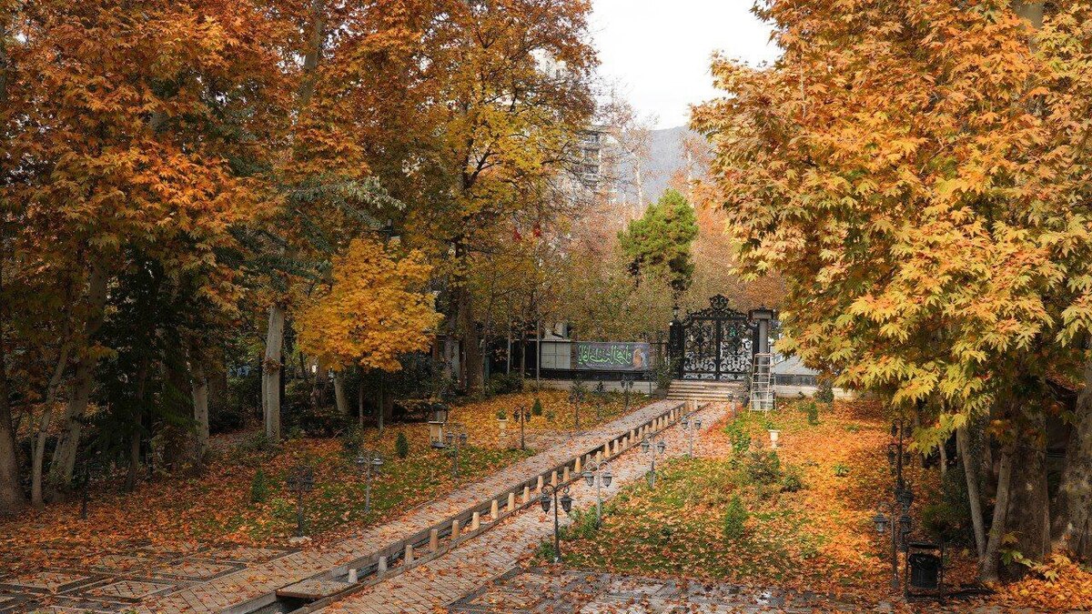 پاییز در موزه سینمای ایران