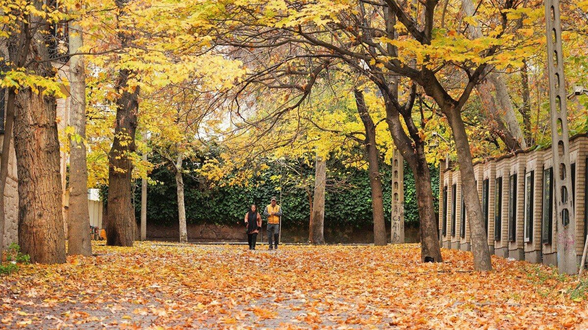 پاییز در موزه سینمای ایران