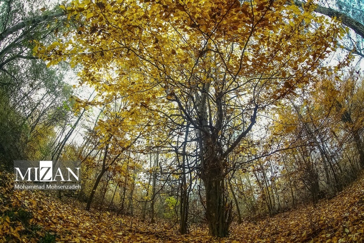 مناظر چشم‌نواز مازندران در پاییز