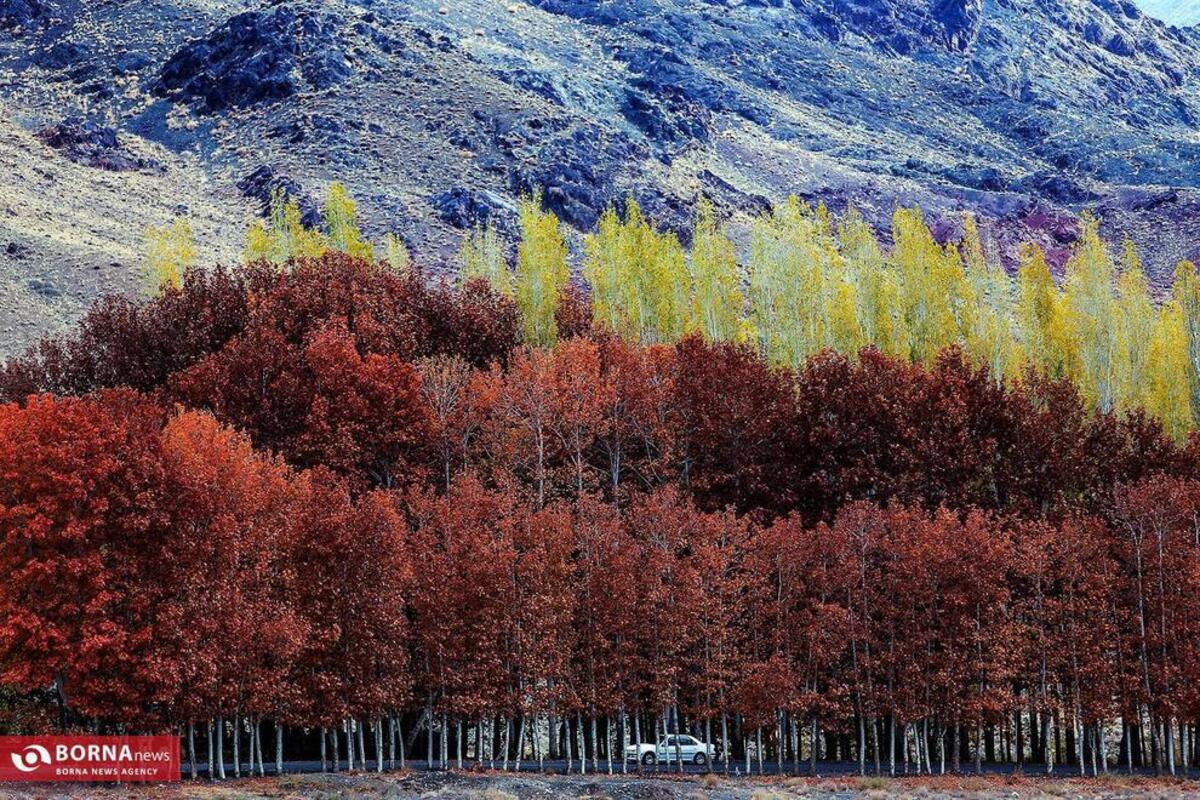 چشم‌نوازی پاییز در روستای تاریخی ابیانه