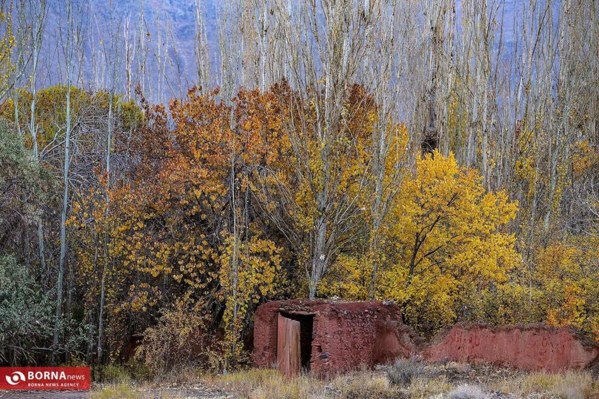 چشم‌نوازی پاییز در روستای تاریخی ابیانه