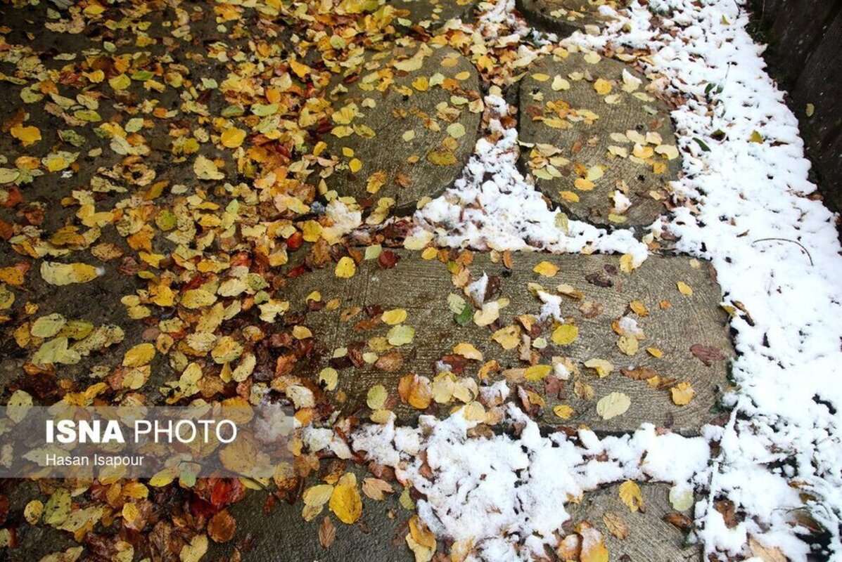 بارش برف در سوادکوه