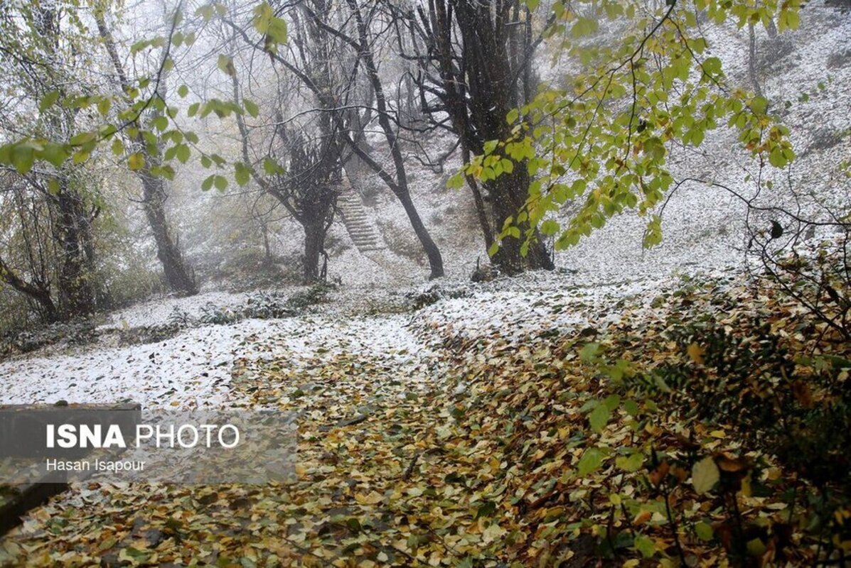 بارش برف در سوادکوه