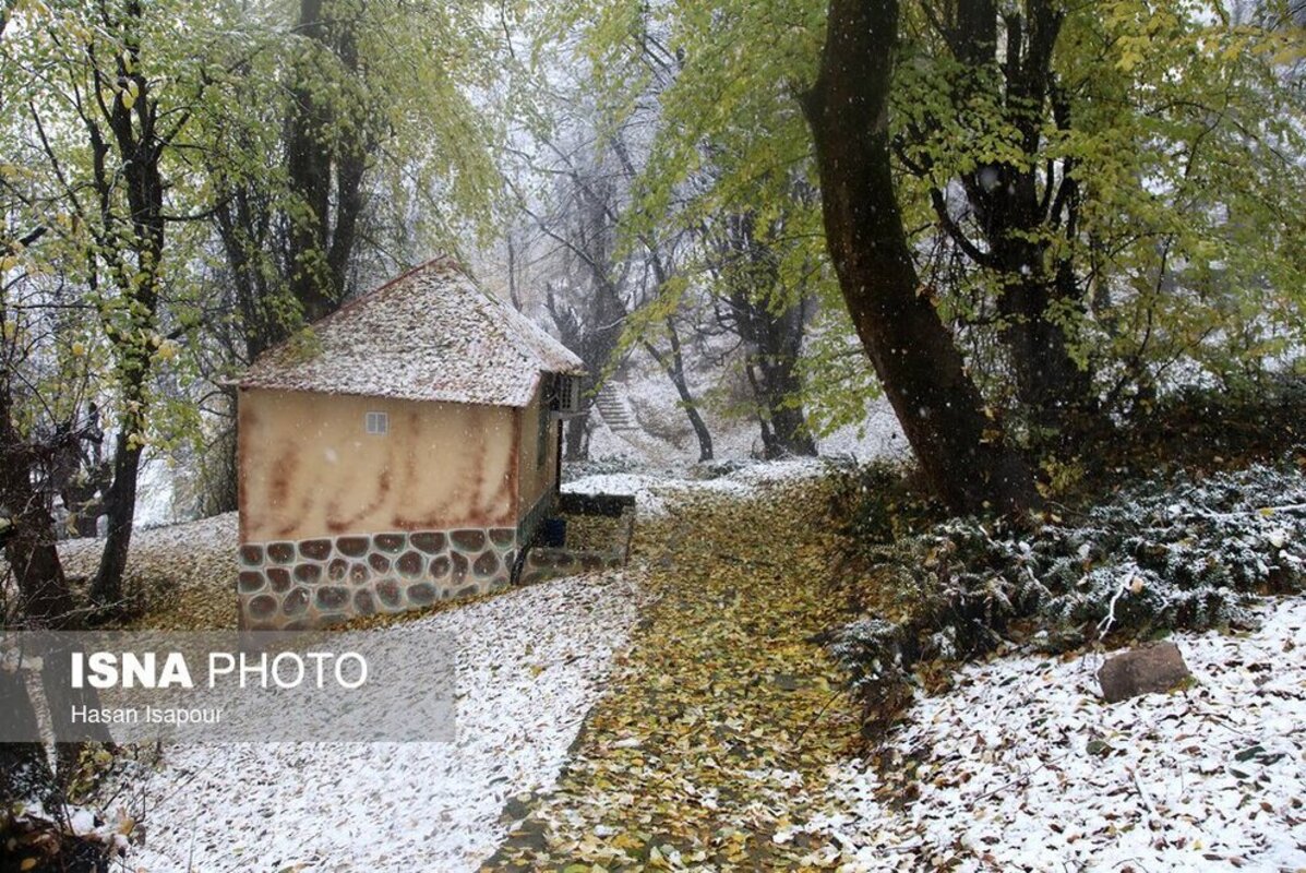 بارش برف در سوادکوه