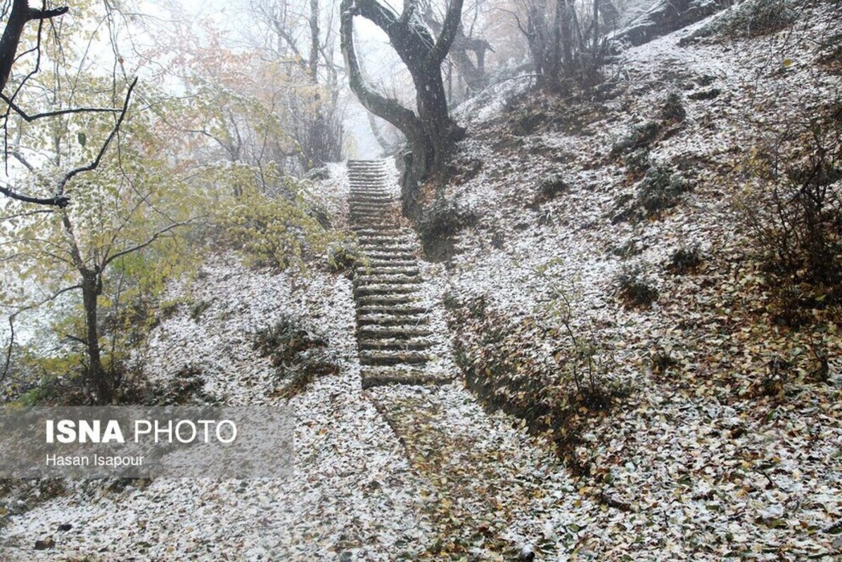 بارش برف در سوادکوه