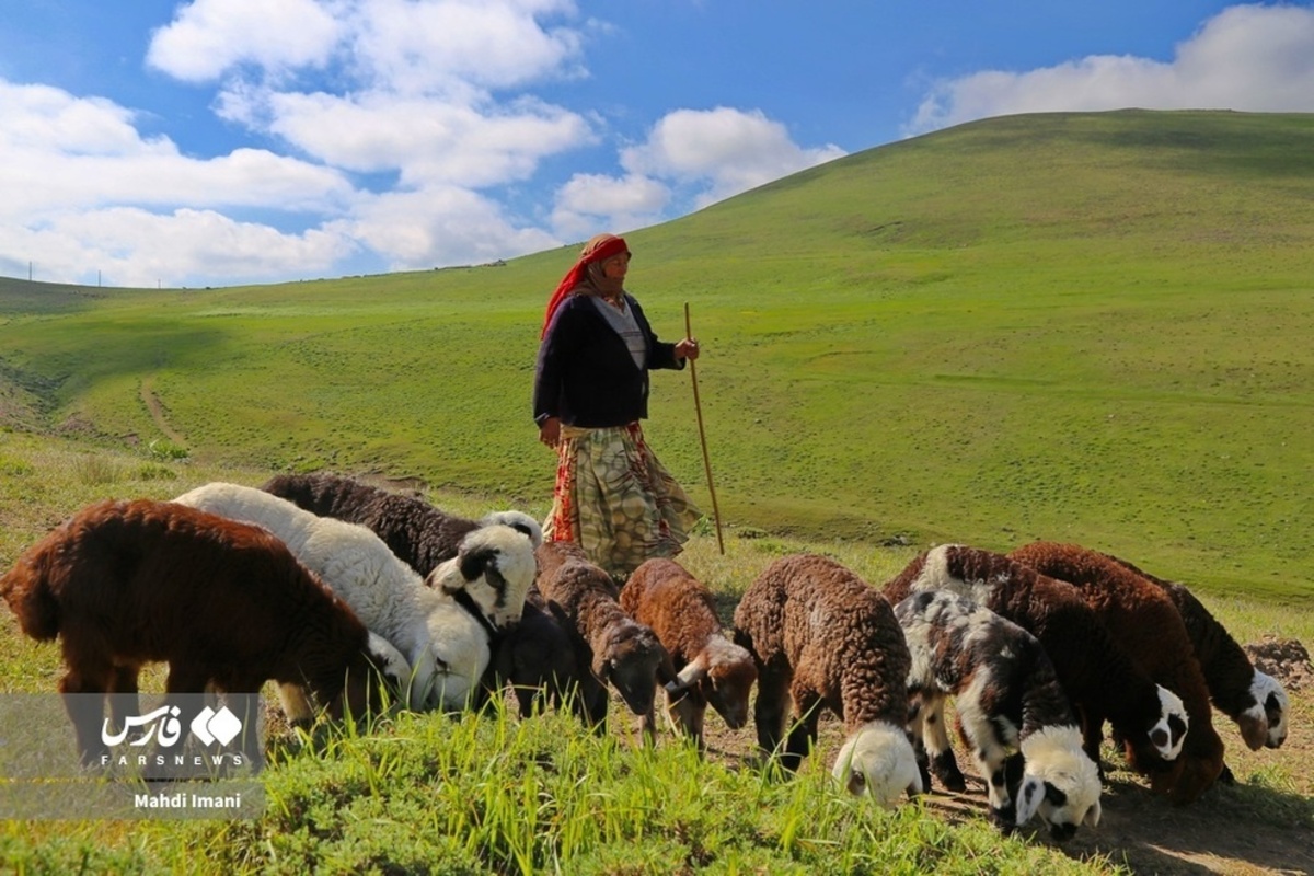 تصاویر زیبای مادران ایل قره‌داغ آذربایجان