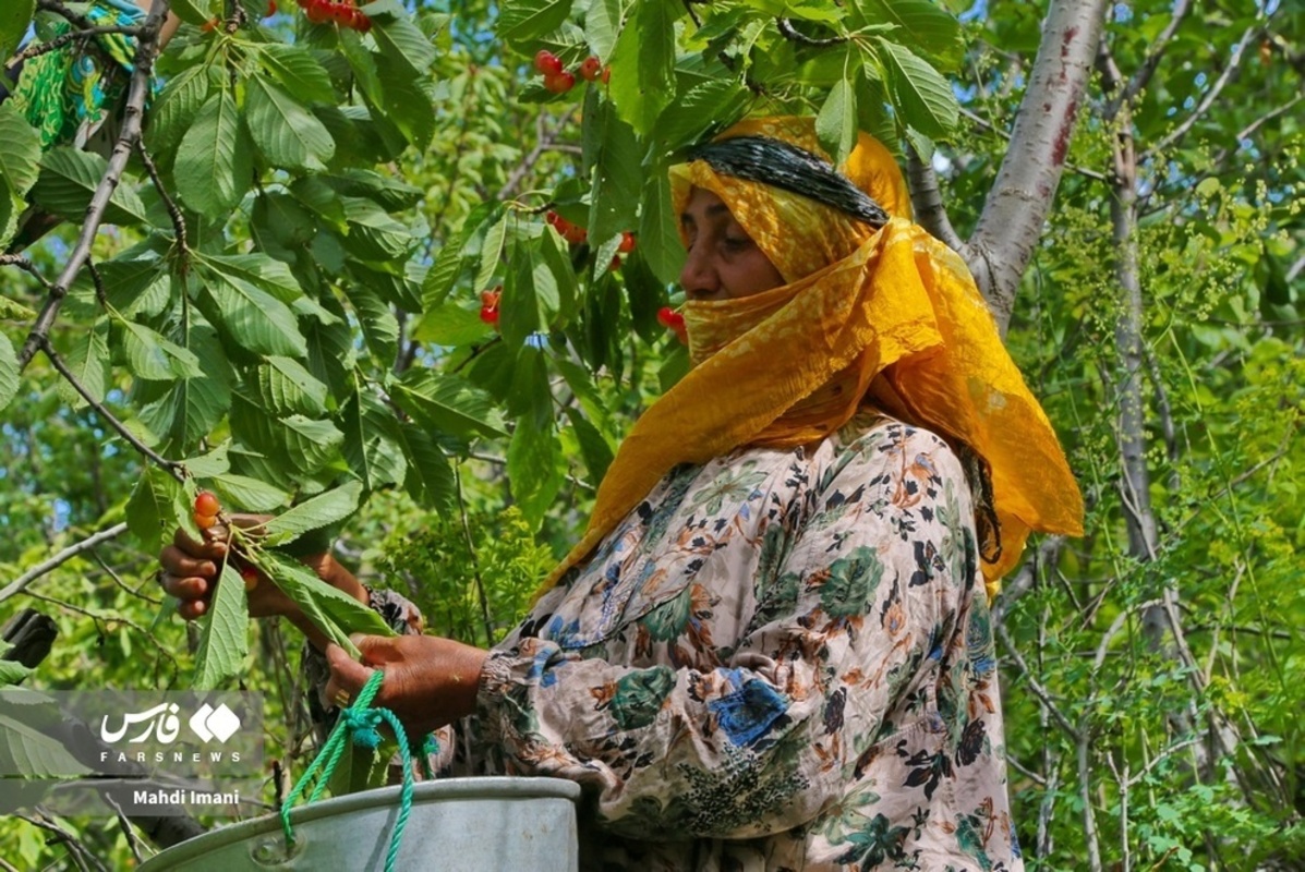 تصاویر زیبای مادران ایل قره‌داغ آذربایجان