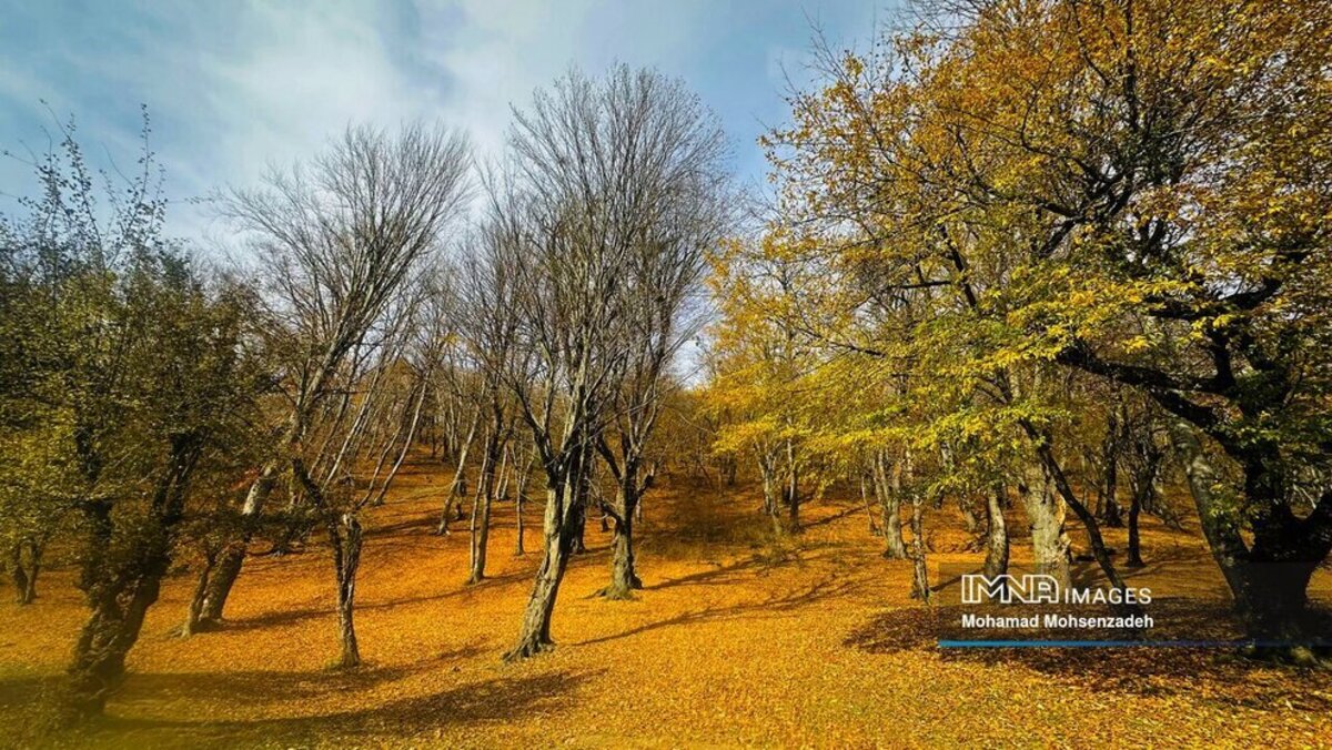 نمای پاییزی دریاچه چورت ساری