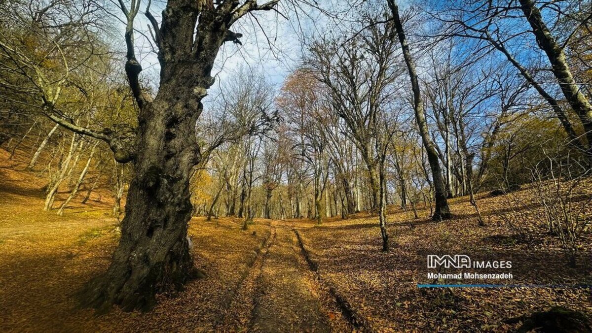 نمای پاییزی دریاچه چورت ساری